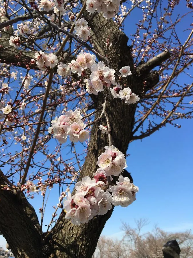 アパート 横浜市平楽園弐番館２階アパートメント 日本