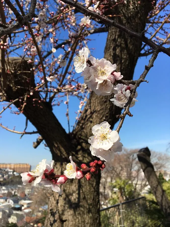 横浜市平楽園弐番館２階アパートメント 横浜市