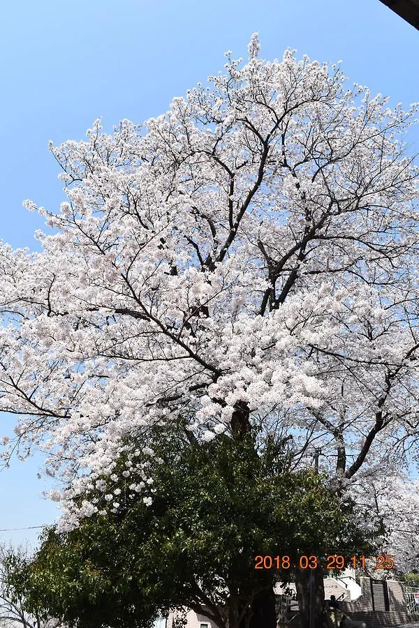 アパート 横浜市平楽園弐番館２階アパートメント