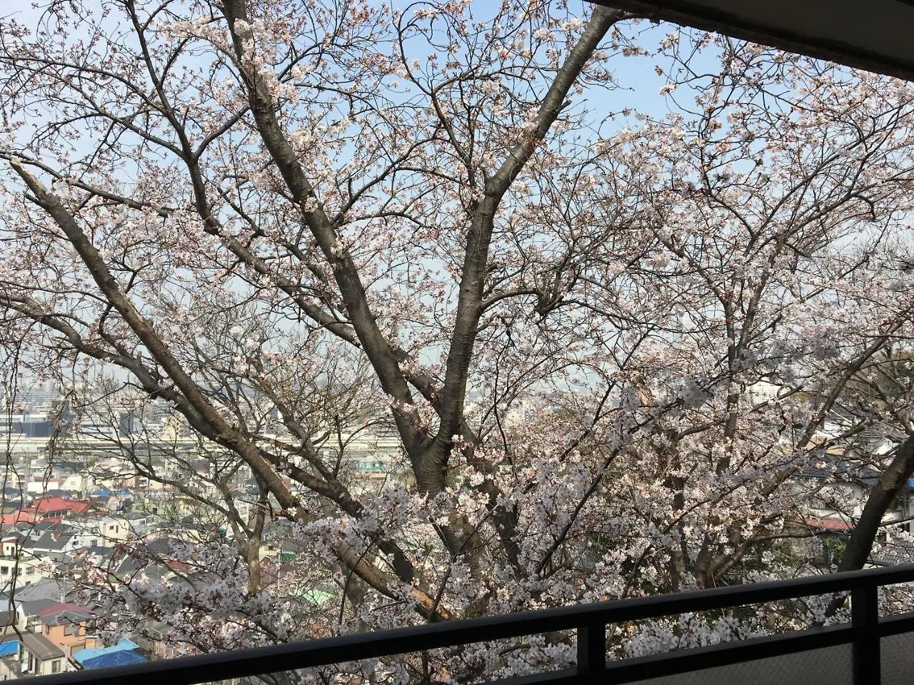 アパート 横浜市平楽園弐番館２階アパートメント