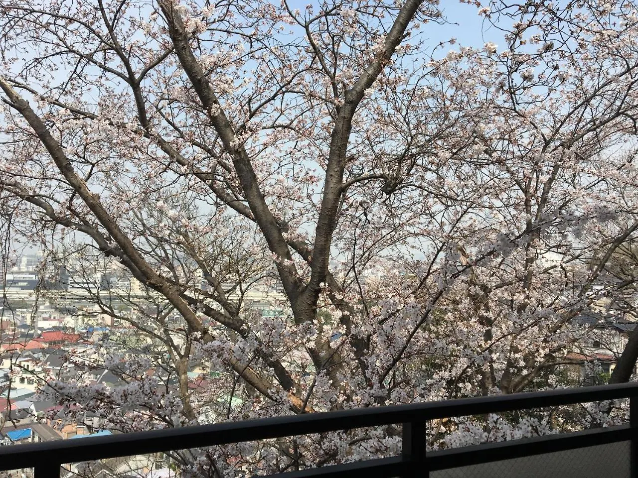 横浜市平楽園弐番館２階アパートメント 横浜市