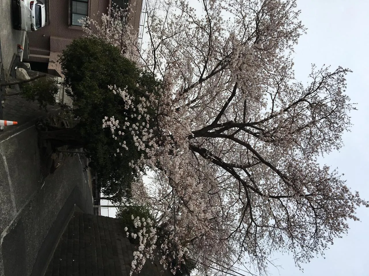 アパート 横浜市平楽園弐番館２階アパートメント