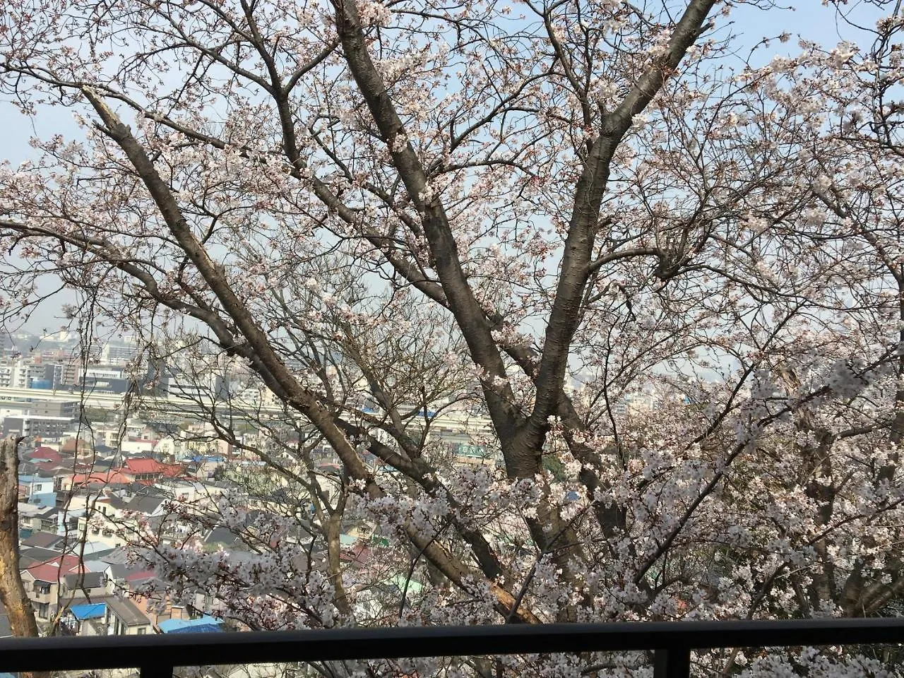 アパート 横浜市平楽園弐番館２階アパートメント
